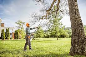Best Utility Line Clearance  in Barbourville, KY