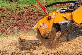 Best Tree Cabling and Bracing  in Barbourville, KY